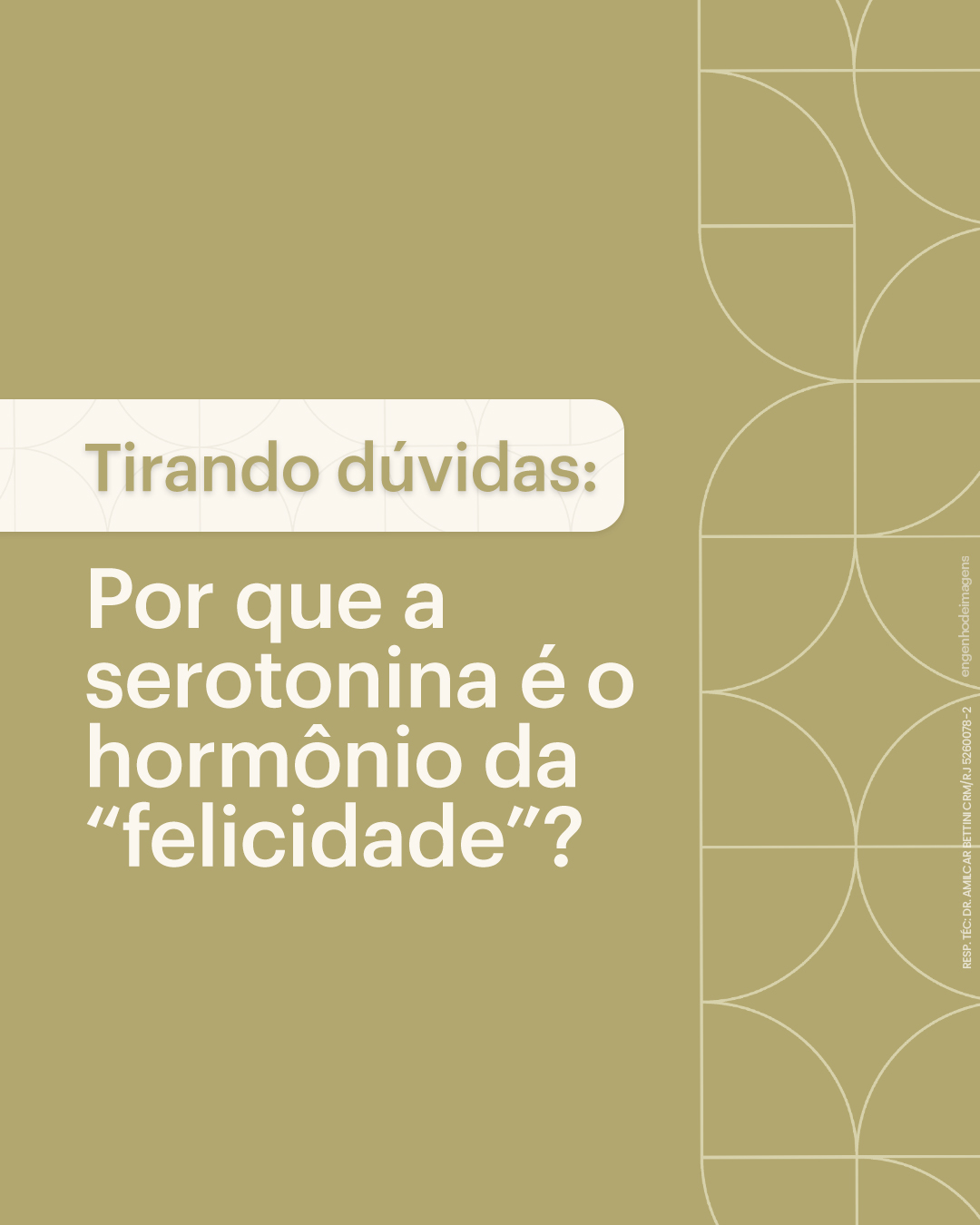 Por que a serotonina é conhecida como o hormônio da felicidade?
